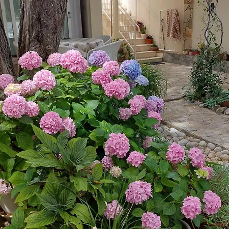 Apartment Pehar