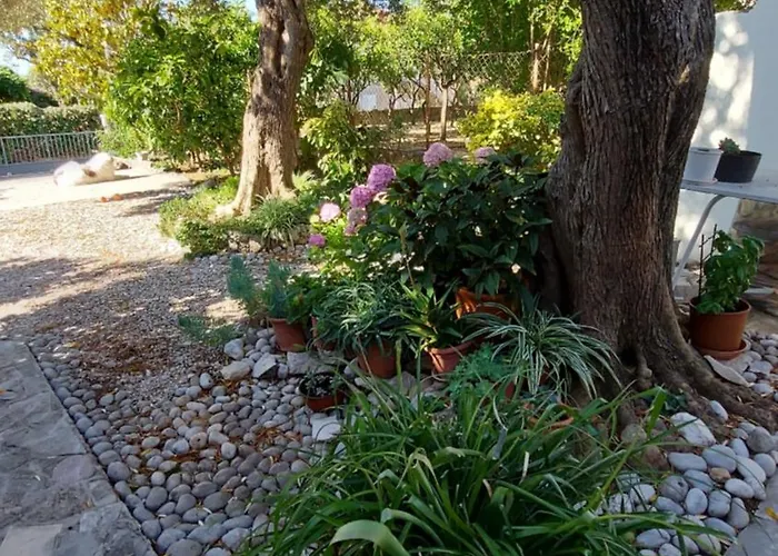 Pehar * 오레비츠